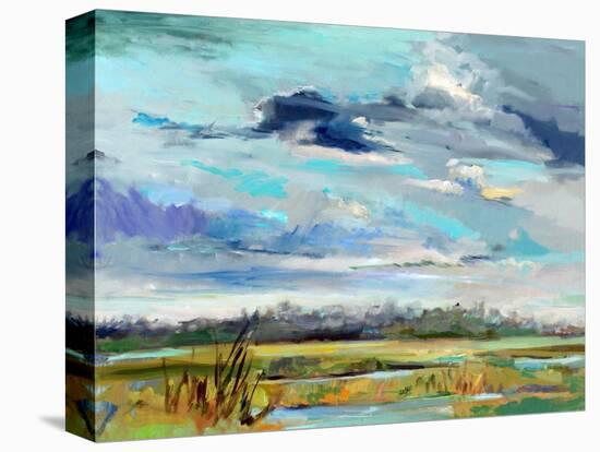 Marsh Skies-Carol Hallock-Stretched Canvas