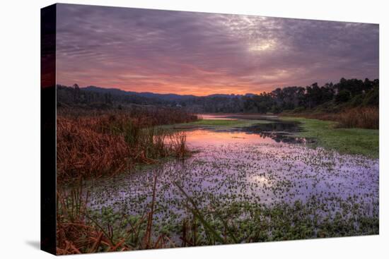 Marsh Sunrise at Fort Bragg, California Coast-Vincent James-Stretched Canvas