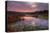 Marsh Sunrise at Fort Bragg, California Coast-Vincent James-Stretched Canvas