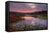 Marsh Sunrise at Fort Bragg, California Coast-Vincent James-Framed Stretched Canvas