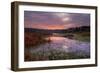 Marsh Sunrise at Fort Bragg, California Coast-Vincent James-Framed Photographic Print