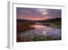 Marsh Sunrise at Fort Bragg, California Coast-Vincent James-Framed Photographic Print