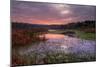 Marsh Sunrise at Fort Bragg, California Coast-Vincent James-Mounted Photographic Print