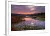 Marsh Sunrise at Fort Bragg, California Coast-Vincent James-Framed Photographic Print