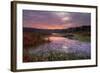 Marsh Sunrise at Fort Bragg, California Coast-Vincent James-Framed Photographic Print