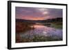 Marsh Sunrise at Fort Bragg, California Coast-Vincent James-Framed Photographic Print