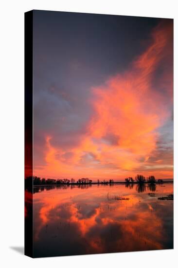 Marsh Sunset Reflections, Merced Wildlife Refuge-Vincent James-Stretched Canvas