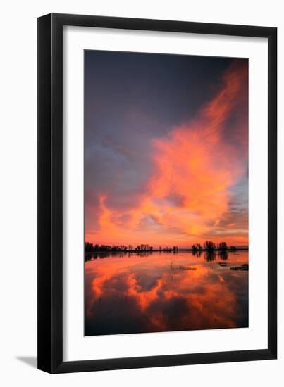 Marsh Sunset Reflections, Merced Wildlife Refuge-Vincent James-Framed Photographic Print