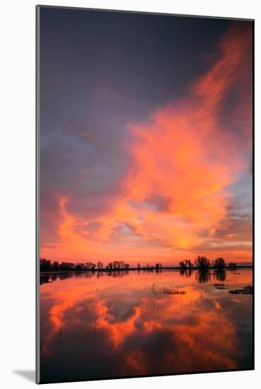 Marsh Sunset Reflections, Merced Wildlife Refuge-Vincent James-Mounted Photographic Print