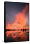 Marsh Sunset Reflections, Merced Wildlife Refuge-Vincent James-Framed Stretched Canvas