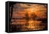Marsh Sunset Through the Trees, Merced Wildlife-null-Framed Stretched Canvas