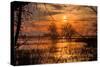 Marsh Sunset Through the Trees, Merced Wildlife-null-Stretched Canvas