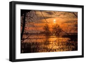 Marsh Sunset Through the Trees, Merced Wildlife-null-Framed Photographic Print