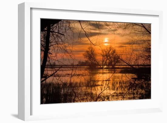 Marsh Sunset Through the Trees, Merced Wildlife-null-Framed Photographic Print