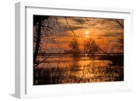 Marsh Sunset Through the Trees, Merced Wildlife-null-Framed Photographic Print