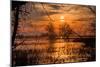 Marsh Sunset Through the Trees, Merced Wildlife-null-Mounted Photographic Print