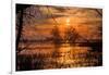 Marsh Sunset Through the Trees, Merced Wildlife-null-Framed Photographic Print