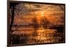 Marsh Sunset Through the Trees, Merced Wildlife-null-Framed Photographic Print