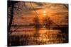 Marsh Sunset Through the Trees, Merced Wildlife-null-Stretched Canvas