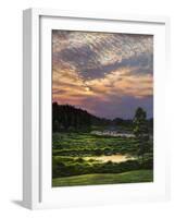 Marsh Sunset-Bruce Dumas-Framed Giclee Print