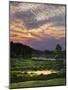 Marsh Sunset-Bruce Dumas-Mounted Giclee Print