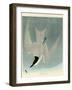 Marsh Tern-John James Audubon-Framed Giclee Print