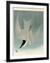 Marsh Tern-John James Audubon-Framed Giclee Print