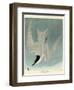 Marsh Tern-John James Audubon-Framed Giclee Print