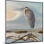 Marsh Watch - Great Blue Heron-Richard Clifton-Mounted Art Print