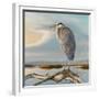 Marsh Watch - Great Blue Heron-Richard Clifton-Framed Art Print