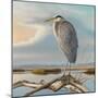 Marsh Watch - Great Blue Heron-Richard Clifton-Mounted Art Print