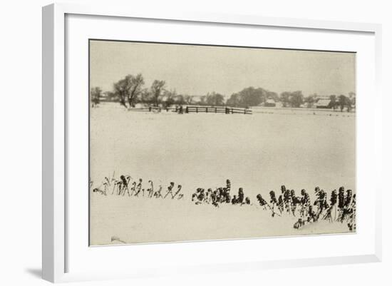 Marsh Weeds (algue des marais)-Peter Henry Emerson-Framed Giclee Print