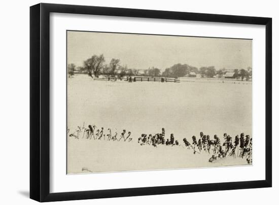 Marsh Weeds (algue des marais)-Peter Henry Emerson-Framed Giclee Print