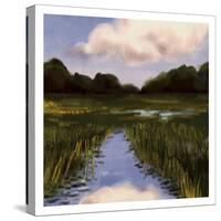 Marsh Wonder-Boho Hue Studio-Stretched Canvas