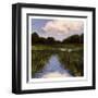 Marsh Wonder-Boho Hue Studio-Framed Art Print