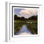 Marsh Wonder-Boho Hue Studio-Framed Art Print