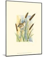 Marsh Wren and Cattails-Janet Mandel-Mounted Art Print