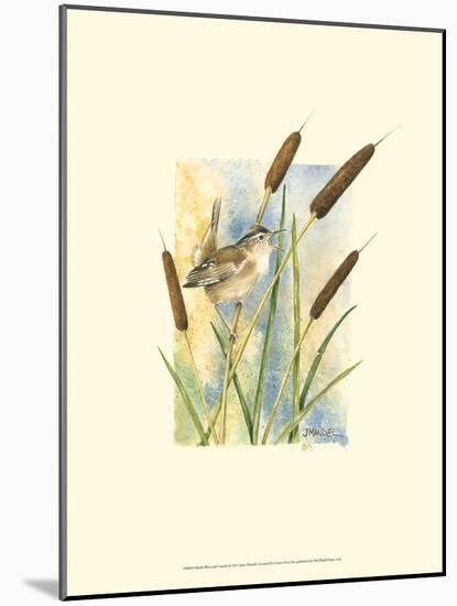 Marsh Wren and Cattails-Janet Mandel-Mounted Art Print