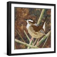 Marsh Wren-Kestrel Michaud-Framed Giclee Print