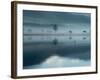 Marsh-null-Framed Photographic Print