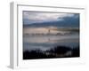 Marsh-null-Framed Photographic Print