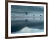 Marsh-null-Framed Photographic Print