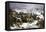Marshal Ney Bringing the French Rear-Guard Out of Russia with Heavy Losses, c.1812-null-Framed Stretched Canvas