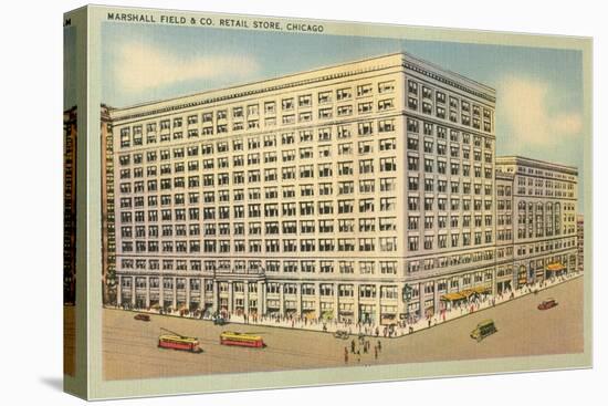 Marshall Field and Co., Chicago, Illinois-null-Stretched Canvas
