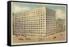 Marshall Field and Co., Chicago, Illinois-null-Framed Stretched Canvas