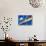 Marshall Islands Flag-daboost-Stretched Canvas displayed on a wall