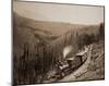 Marshall Pass, Colorado, Westside, 1880-1881-William Henry Jackson-Mounted Art Print