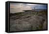 Marshall Point Shoreline, Port Clyde Maine-George Oze-Framed Stretched Canvas