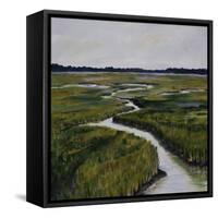 Marshes I-Diantha York-ripley-Framed Stretched Canvas