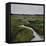 Marshes I-Diantha York-ripley-Framed Stretched Canvas